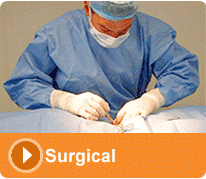 Surgical Services